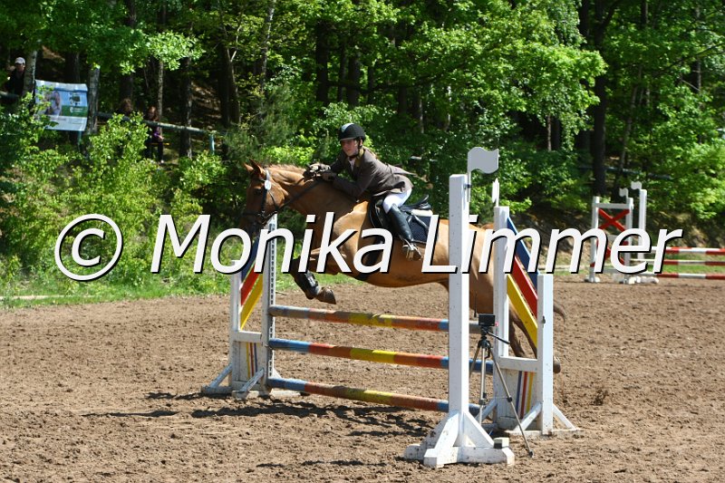 104M8223_SpringWB E.JPG